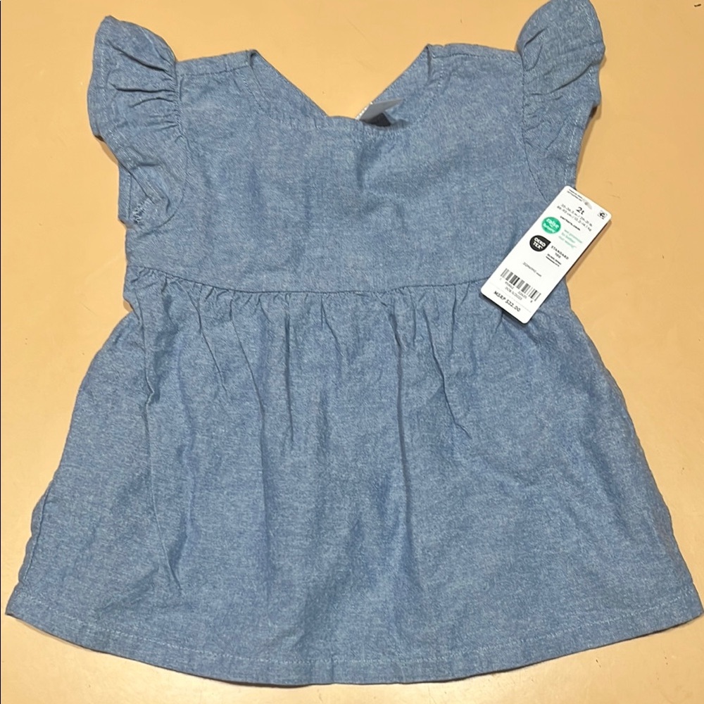 Carter's Blue Kids Blouse